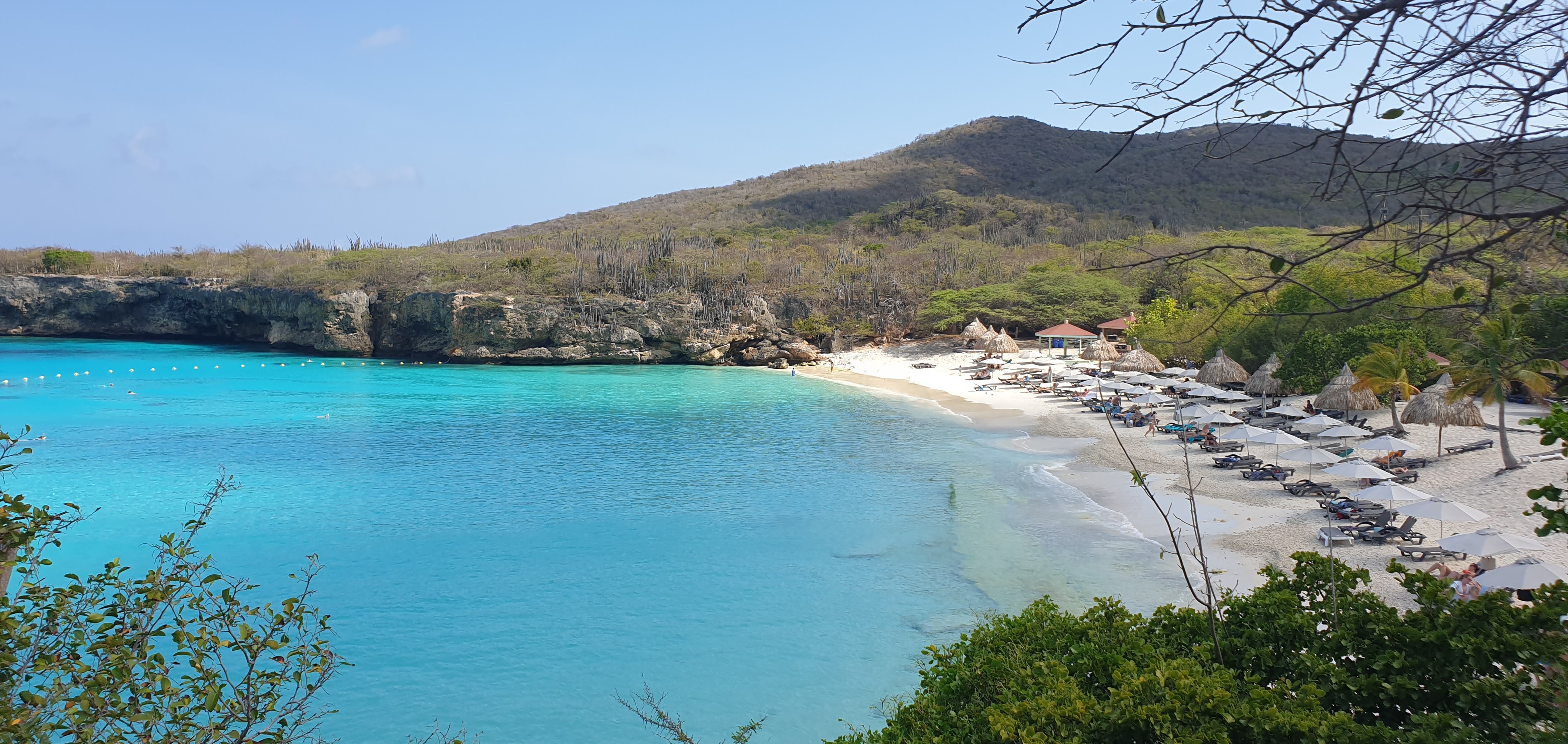 Prof. Dr. Michael Paarz